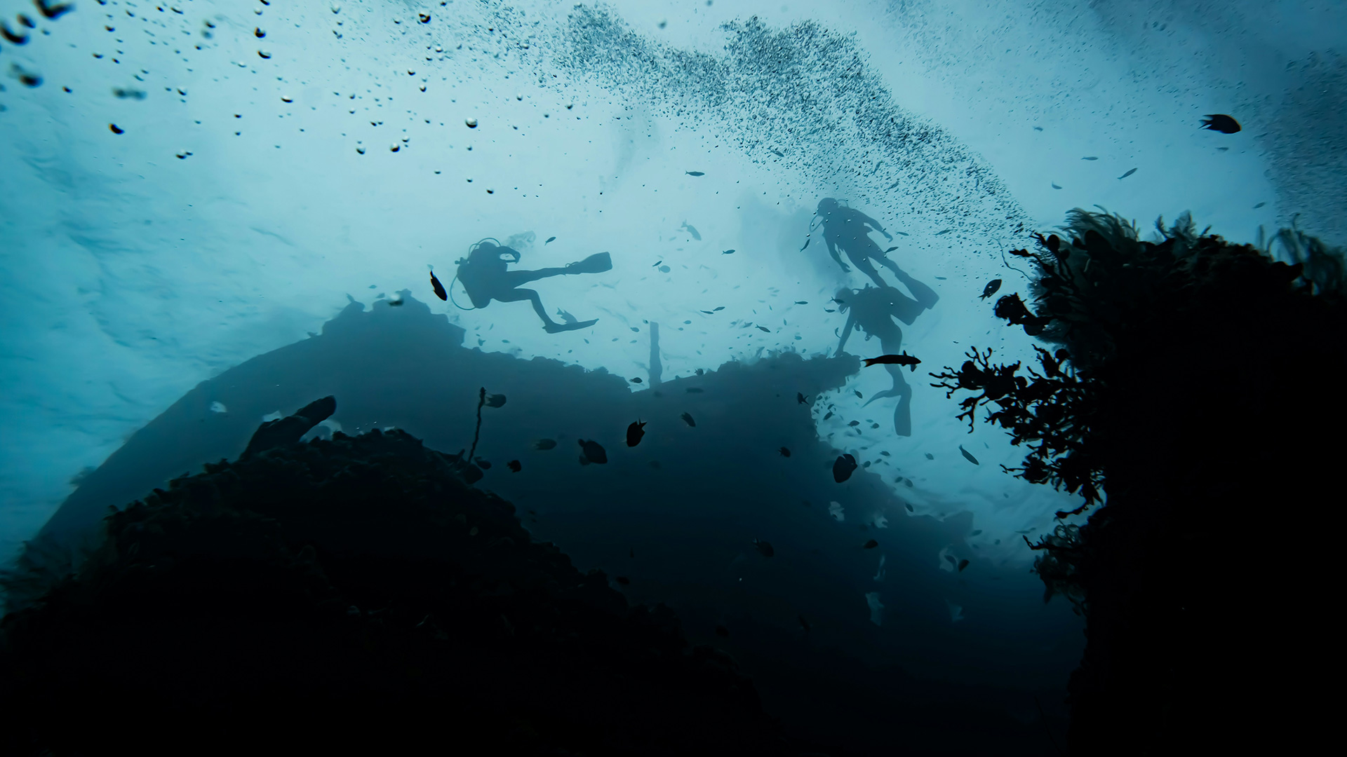 Red Sea